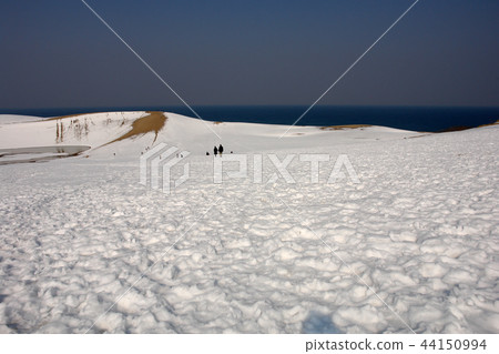鳥取四季走冬天的鳥取沙丘 44150994