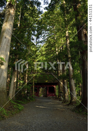 Eminent shrine to Togakushi Osha Eminent shrine to Togakushi Osha 44151331