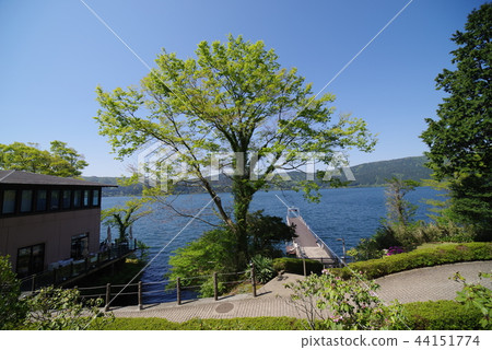 Lake Ashinoko 44151774