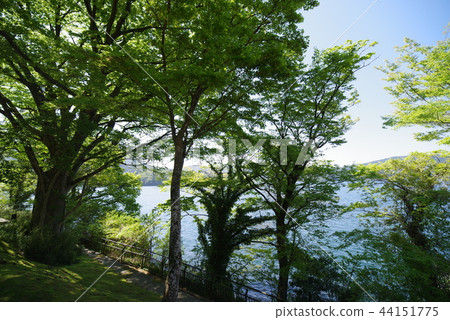 Lake Ashinoko Lake Ashinoko 44151775