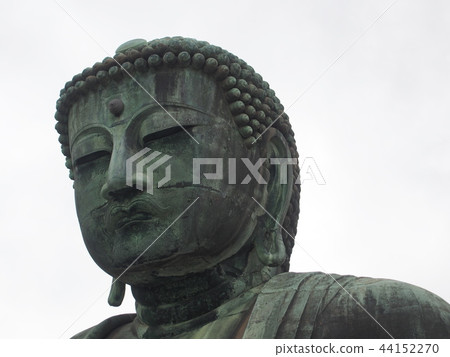 鎌倉大佛(Kotokuden /神奈川縣鎌倉市Hase) 鎌倉大佛(Kotokuden /神奈川縣鎌倉市Hase) 44152270