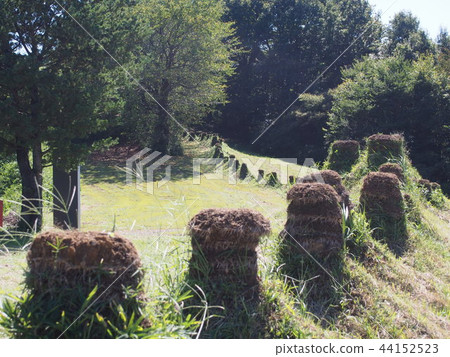 Toh-hachiman(埼玉縣駒原郡美里町)的歷史遺址 Toh-hachiman(埼玉縣駒原郡美里町)的歷史遺址 44152523
