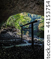 Miyazaki Prefecture, a silhouette of a torii gate in the Tian'an Kawahara 44153754