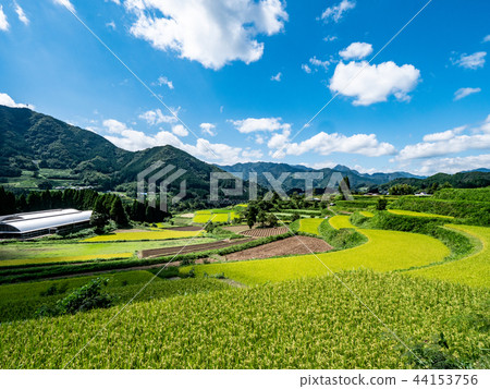 Miyazaki Prefecture, Takachiho's vast countryside and blue sky Miyazaki Prefecture, Takachiho's vast countryside and blue sky 44153756