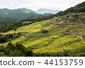 100 Selected Japanese Tanada, Mie Prefecture, Maruyama Senmaida 44153759