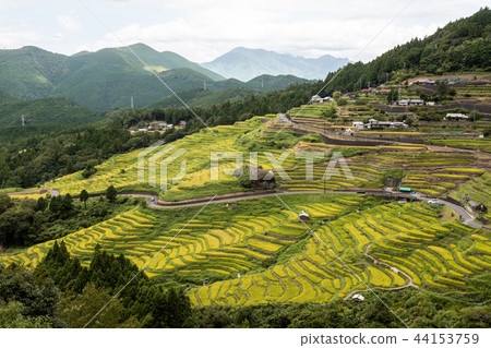100 Selected Japanese Tanada, Mie Prefecture, Maruyama Senmaida 44153759