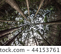 Mie Prefecture, Kumano Kodo, Matsumoto Satoshi (Fisheye) 44153761