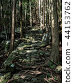Kumano Kodo, Mie Prefecture, Atsushi Matsumoto (vertical position) 44153762