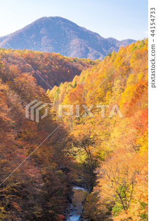 Nakatsugawa Fukushima Autumn Nakatsugawa Fukushima Autumn 44154733
