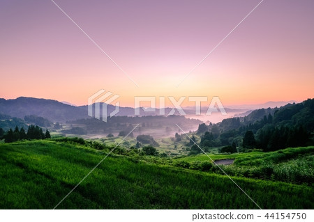 梯田（早晨） 44154750