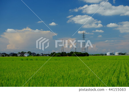 Kanoko cloud landscape 44155083