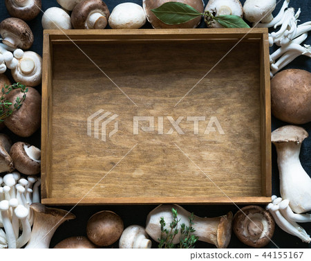 frame of various mushroom frame of various mushroom 44155167