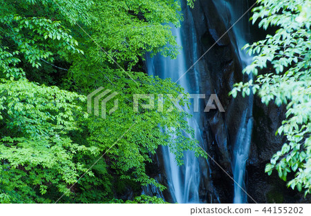 Nishizawa Valley Okubo Waterfall 44155202
