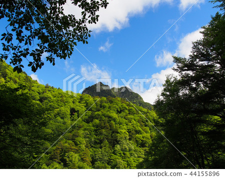Mt. Mt. 44155896