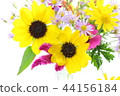 Sunflower Flower Arrangement 44156184