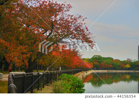 在秋葉中間[大阪城公園] 44156354