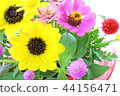 Sunflower Flower Arrangement 44156471