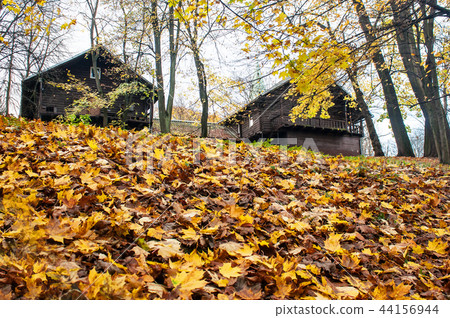 two wooden houses in the forest on autumn day 44156944