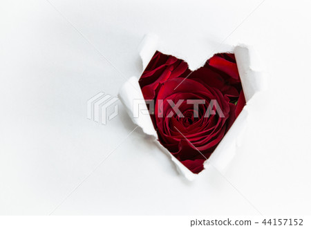 paper heart and red roses paper heart and red roses 44157152