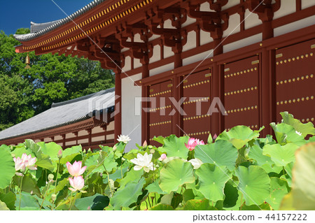 奈良·Yakushiji 奈良·Yakushiji 44157222