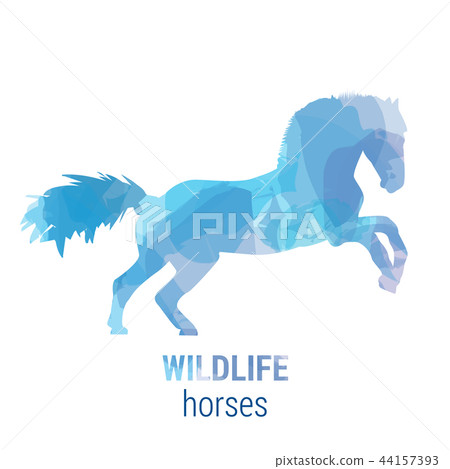 Wildlife banner - horses 44157393