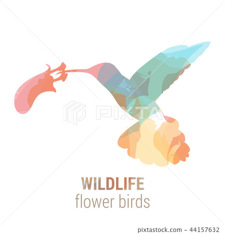 Wildlife banner - bird colibri Wildlife banner - bird colibri 44157632