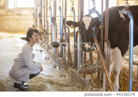 Beef women 44158179
