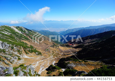 Senjojiki Curl from Takaken-dake 44158753