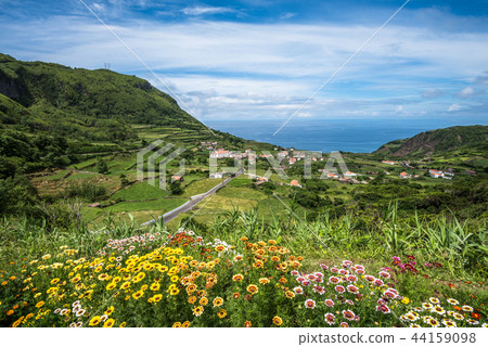 Green coastline of Flores island, Azores, Portugal 44159098
