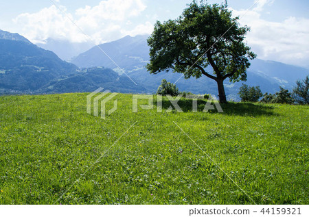 Oberfels village Oberfels village 44159321