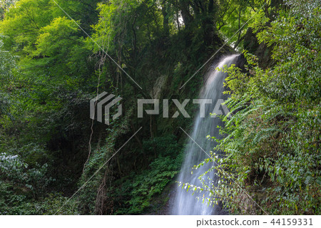 Yoro沒有瀑布 44159331