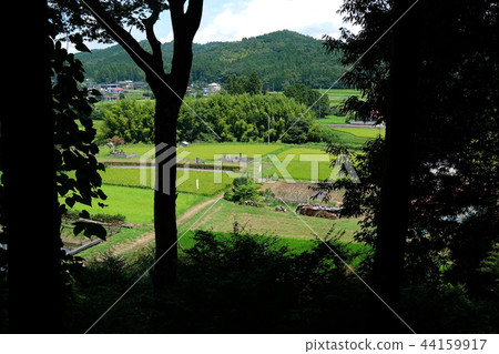 從山上夏天的視圖 從山上夏天的視圖 44159917