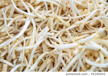 Good low-calorie diet fresh herbs bellflower 44160042