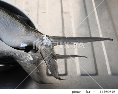 Raw milkfish. Nutritious fish dish in Taiwan. Raw milkfish. Nutritious fish dish in Taiwan. 44160656
