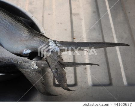 Raw milkfish. Nutritious fish dish in Taiwan. Raw milkfish. Nutritious fish dish in Taiwan. 44160657