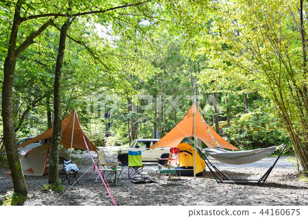 在樹林裡營地 在樹林裡營地 44160675