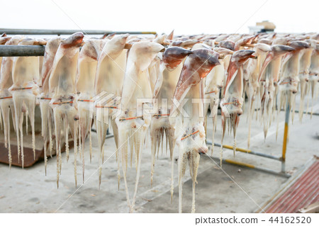 Korea Ulleungdo, Dokdo Landmark 44162520