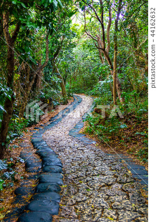 Cobblestone Shiba Gyoen 44162632