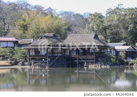 Genguen早春彥根市 Genguen早春彥根市 44164048