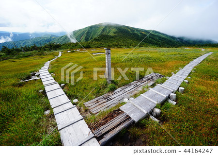 Hiragatake wooden path Hiragatake wooden path 44164247