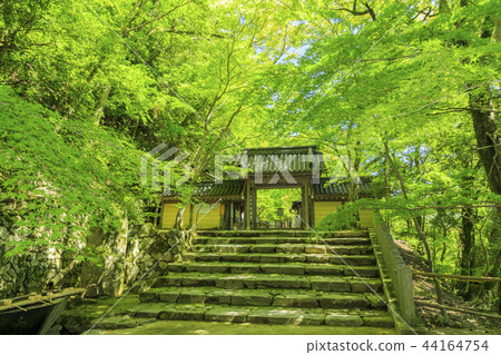 Eikenji Eikenji 44164754