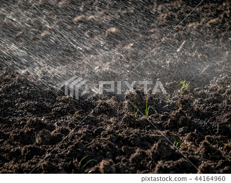 Spraying water over cultivated land Spraying water over cultivated land 44164960