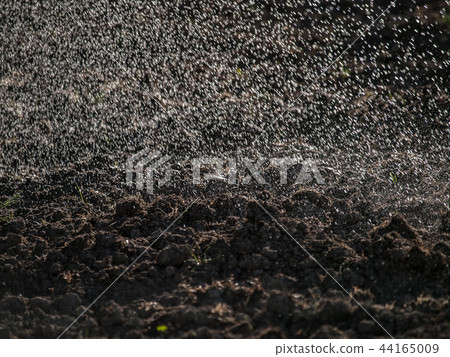 Spraying water over cultivated land Spraying water over cultivated land 44165009