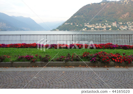 Swan Como Italy COMO ITALY Swan Como Italy COMO ITALY 44165020