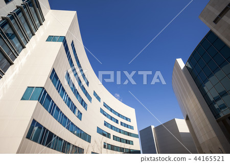 Lotte Hotel 44165521