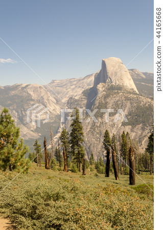 Half Dome from Glacier Point at Yosemite 44165668