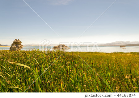 Tufa rock formation characteristic of Mono lake 44165874