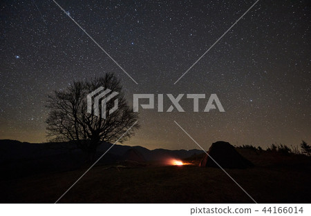 Night camping in the mountains. Hikers having a rest in tourist tent under starry sky near campfire 44166014