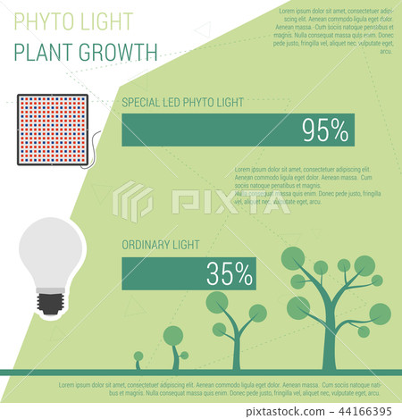 Comparison phyto and ordynary light Comparison phyto and ordynary light 44166395