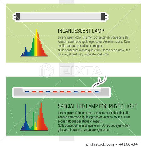 Features led and fluorescent lamps 44166434